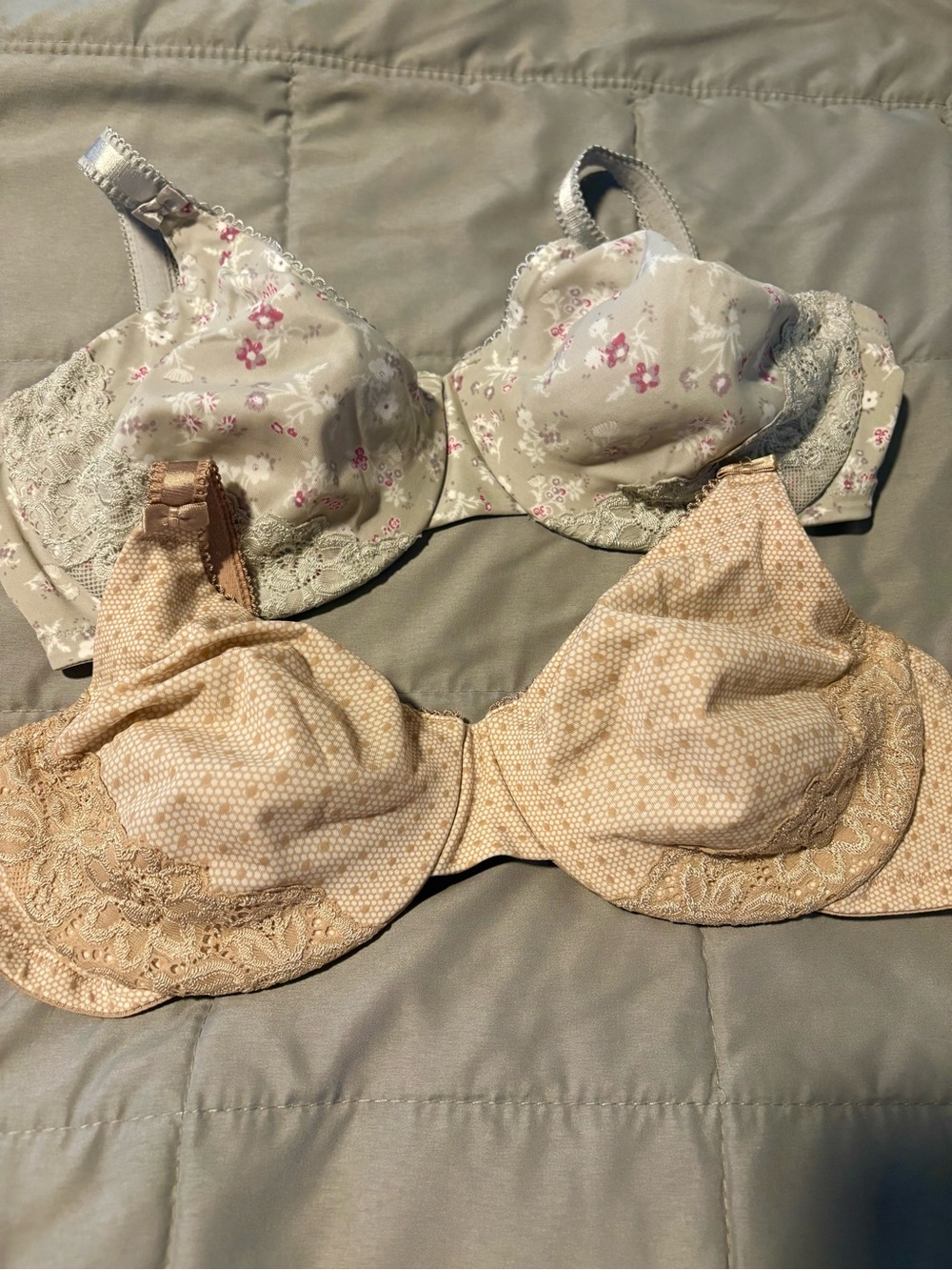 Women’s Lace Underwire Bra Set in Beige and Light Gray Floral